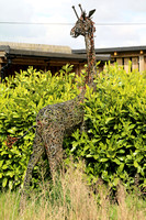 Fenn Bell Zoo [6] sculpture