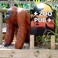 Fenn Bell Zoo [2] sign